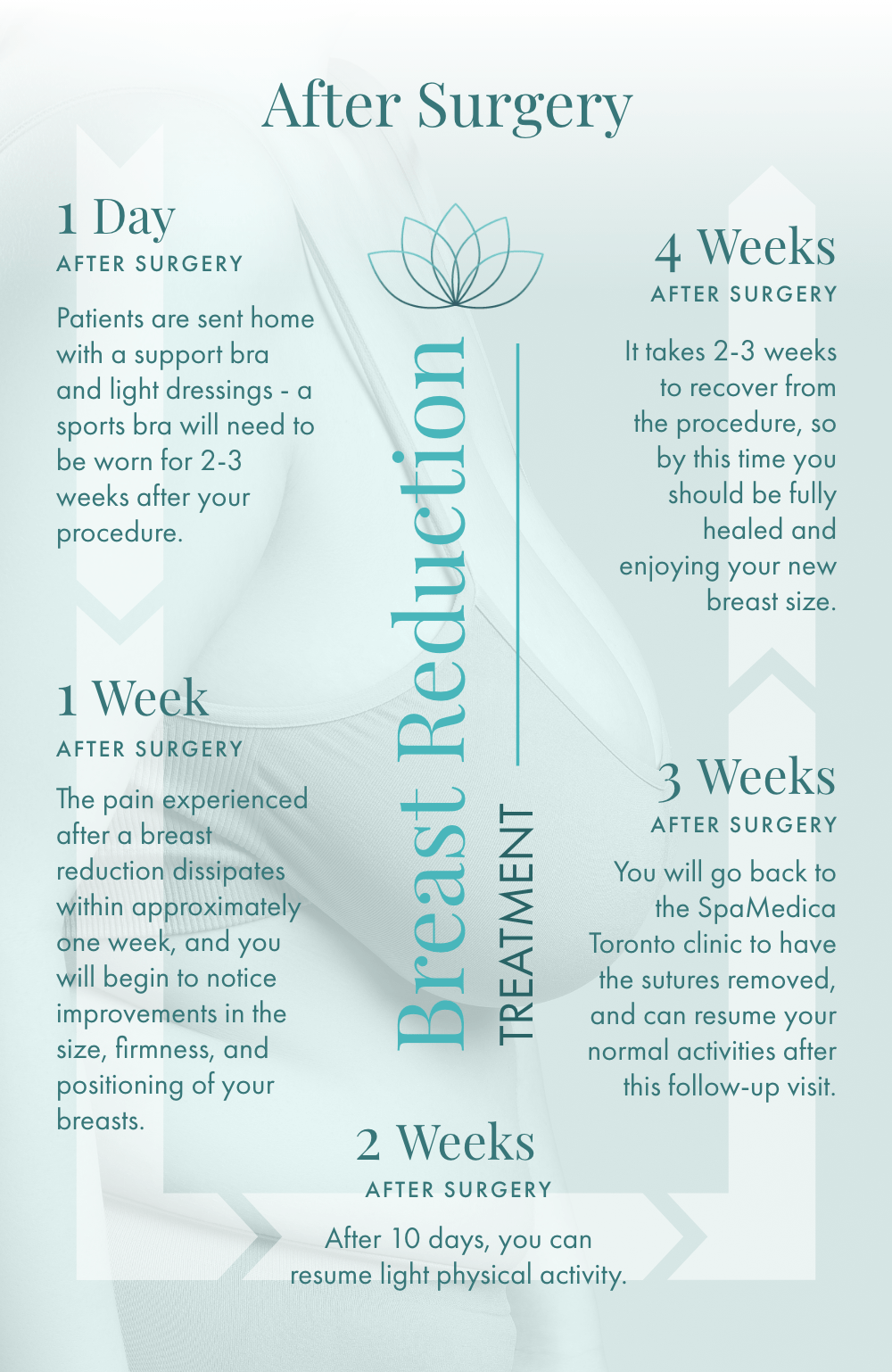 Facelift Recovery Timeline