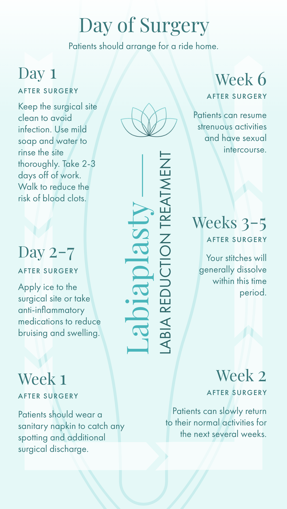 Labiaplasty (Labia Reduction) Recovery Timeline