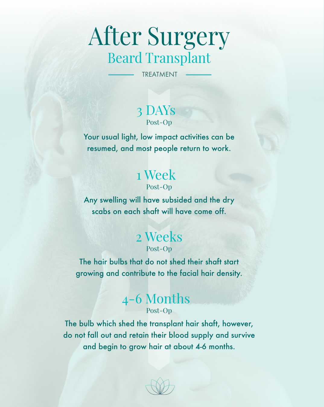 Beard Transplant Treatment infographic outlines critical recovery phases at 3 days, 1 week, 2 weeks, and 4-6 months post-operation, describing the resumption of activities, the subsiding of swelling, the hair growth process, and the expected time for hair to start growing post-transplant.